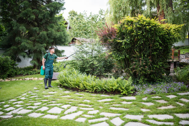 Best Residential Pest Control  in Whippany, NJ