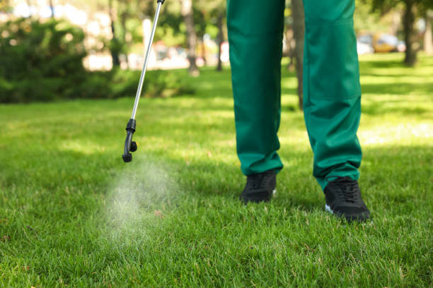 Best Pest Prevention Services  in Whippany, NJ