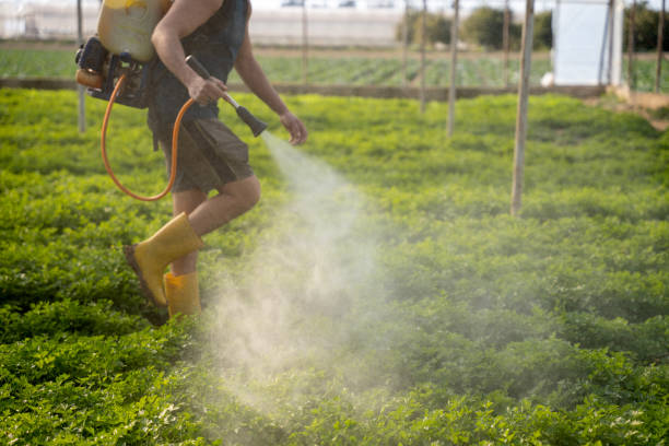 Best Insect Control  in Whippany, NJ
