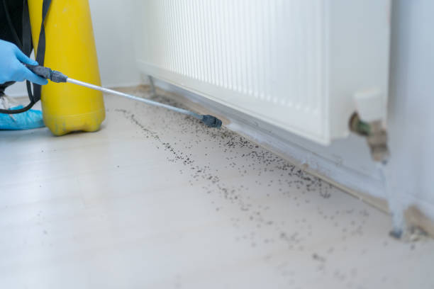 Best Local Pest Control Services  in Whippany, NJ