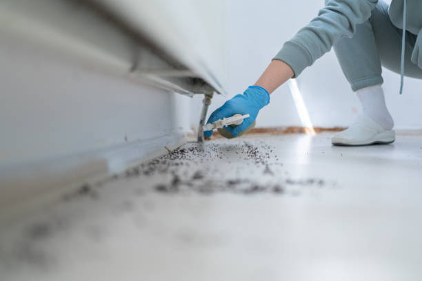 Best Affordable Pest Control Services  in Whippany, NJ
